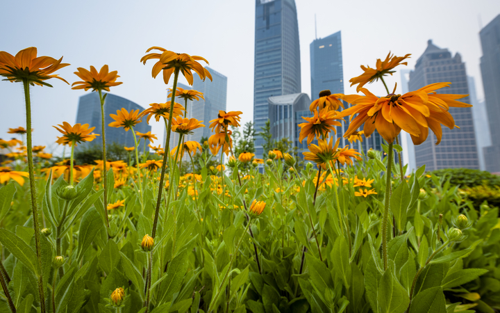 PEP ECOPASPOORT – meer inzicht in de  duurzaamheid van LEDVANCE-armaturen
